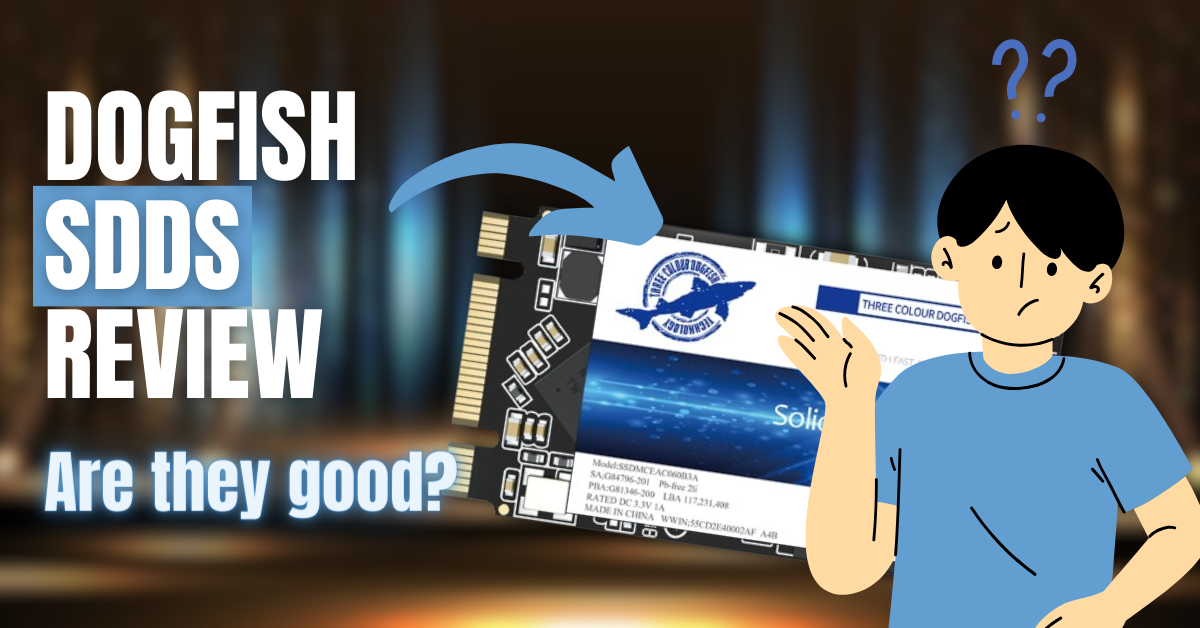 Read more about the article Dogfish SSD Review: The Truth Revealed Before You Buy